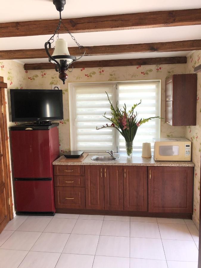 Apartments With Kitchen And Garden Kiev Buitenkant foto